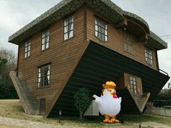 -金山农民画村-枫泾波兰倒置屋