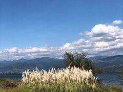 -西昌邛海湿地