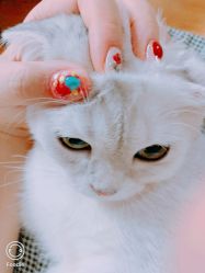 -Miss·A日式美甲美睫