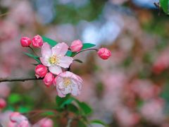 -白塘生态植物园