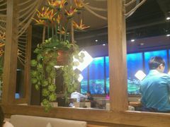 -云海肴·汽锅鸡·云南菜(天津国金汇店)