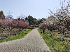 -上海海湾国家森林公园