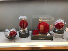 -ROSEONLY诺誓(青岛万象城店)