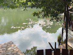 -张鸟园农家乐(张鸟园店)