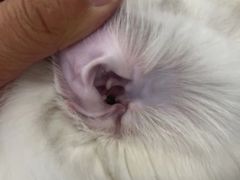 -comecome来吧宠物(奥克斯中心店)