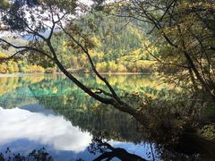-九寨沟爱情海景区