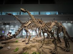 -自贡恐龙博物馆