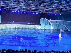 -海合安青岛极地海洋公园