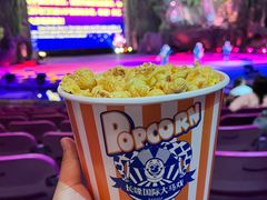 -广州长隆国际大马戏