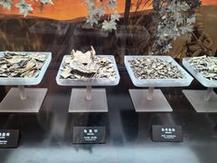 -河姆渡遗址博物馆