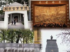 -长洲岛