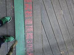 -海南霸王岭国家森林公园
