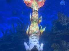 -海合安武汉极地海洋公园