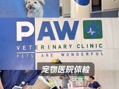 -佩兹宠物医院肿瘤专科·眼科·牙科(黄浦店)