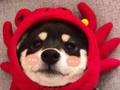 -赵伍面庄(松石大道店)