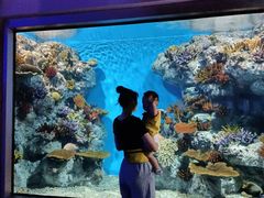 -福州罗源湾海洋世界旅游区