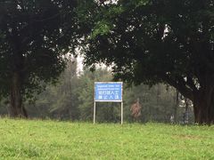 高尔夫球场-美视五月花高尔夫度假酒店(滨海西店)