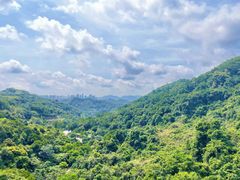-阳台山森林公园