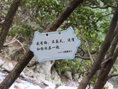 -百杖潭景区