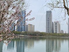 -天鹅湖体育公园
