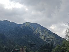 -姑婆山旅游区