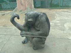 -石家庄市动物园