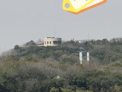 -上海滨江森林公园