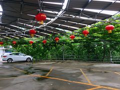 门面-望湖烤鱼