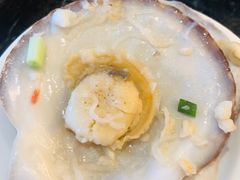 扇贝-东方红海鲜百汇(国际大厦店)