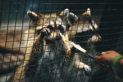 -酷嗒动物文化乐园(cutezoo西溪乐天城店)