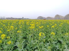 -中国天府农业博览园