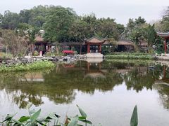 -顺峰山公园
