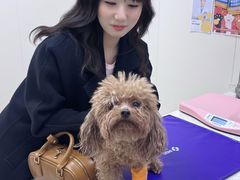 -美联众合动物医院·24h京西诊疗中心