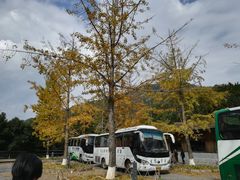 -大余丫山旅游度假区