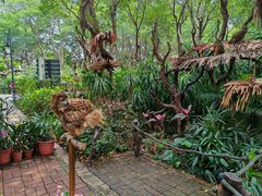 -广州长隆飞鸟乐园