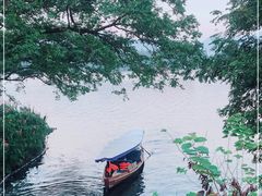 -西湖游船