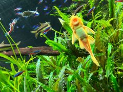 -上海海洋水族馆