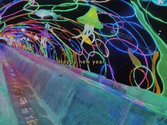 -沈阳奥体冰雪嘉年华