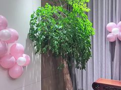 -泓历皇朝酒店(东亭店)
