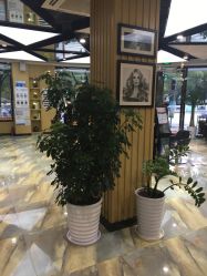 -永琪美容美发全国直营连锁