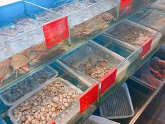 -华盛丰温州大排档(东三环南路店)