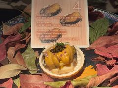 -地球美食剧场