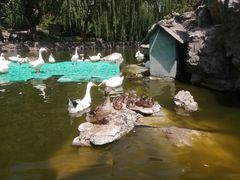 -团结湖公园