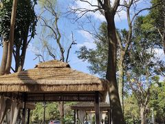 -醉了的船Le Bateau Ivre(温江店)