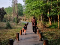 -桤木河湿地公园