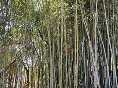 -庐州太太(南七里店)