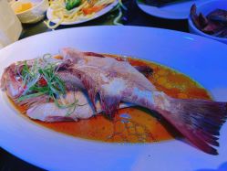 -格乐利雅婚礼艺术中心(南外滩店)