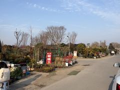 -龙大花卉苗木市场