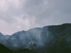 -杨家堂村