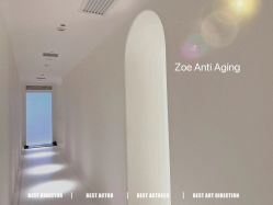 -紫御国际抗衰ZOE ANTI AGING